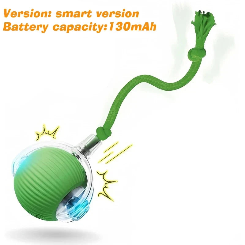 Interactive Automatic Rolling Dog Ball for Dogs & Puppies