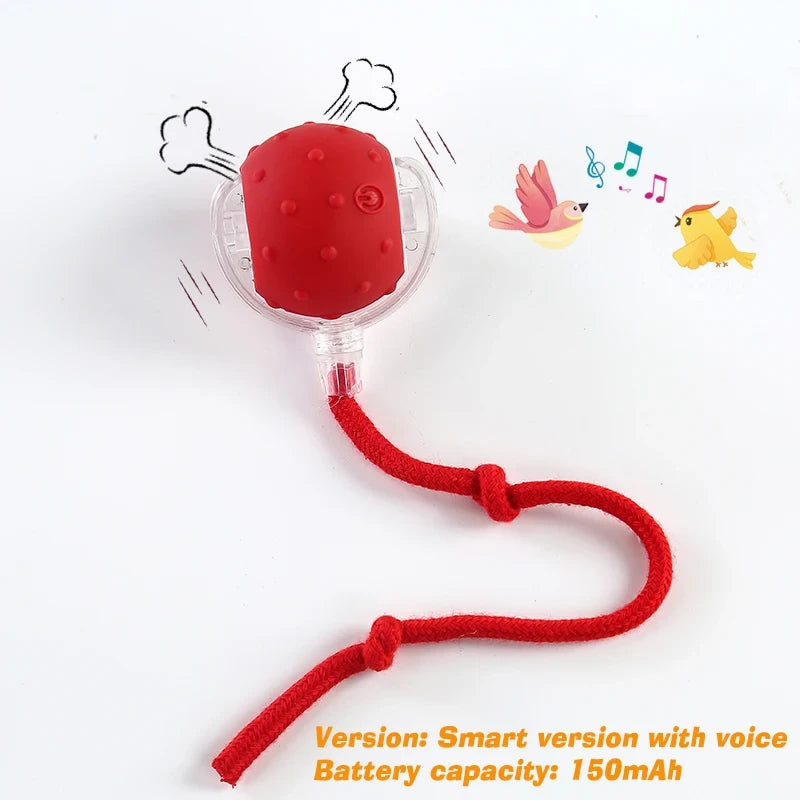 Interactive Automatic Rolling Dog Ball for Dogs & Puppies