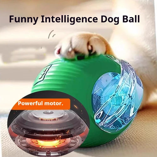 Interactive Automatic Rolling Dog Ball for Dogs & Puppies