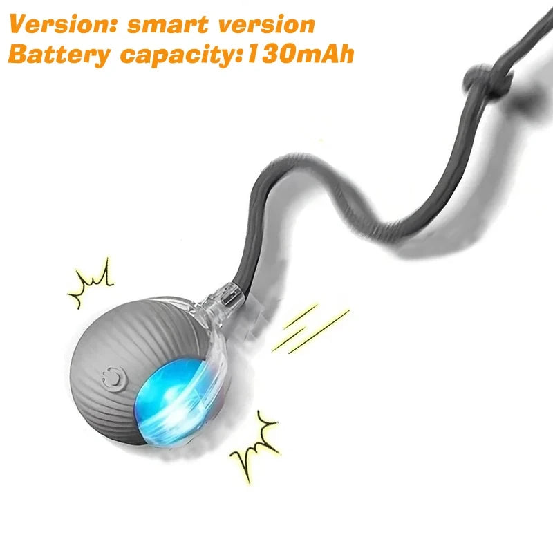 Interactive Automatic Rolling Dog Ball for Dogs & Puppies