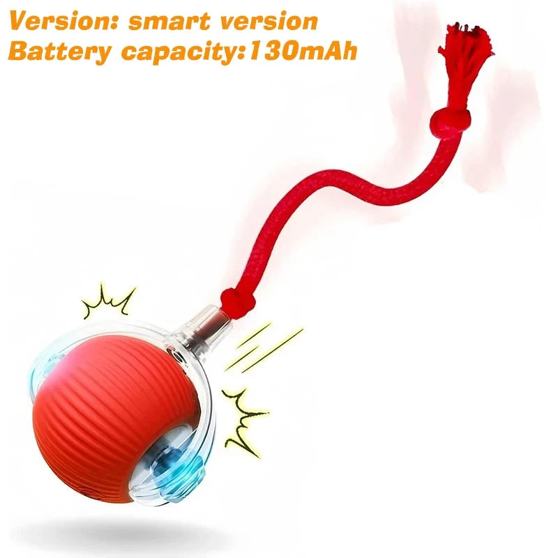 Interactive Automatic Rolling Dog Ball for Dogs & Puppies