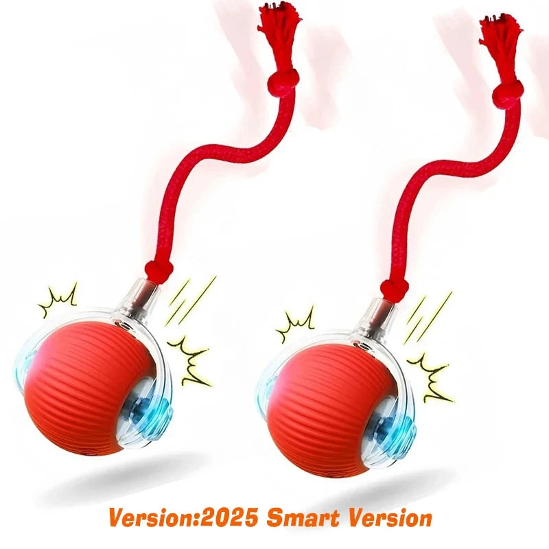 Interactive Automatic Rolling Dog Ball for Dogs & Puppies