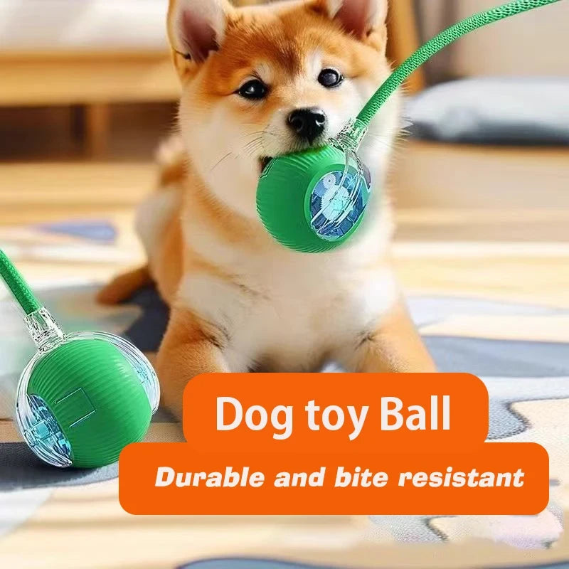 Interactive Automatic Rolling Dog Ball for Dogs & Puppies
