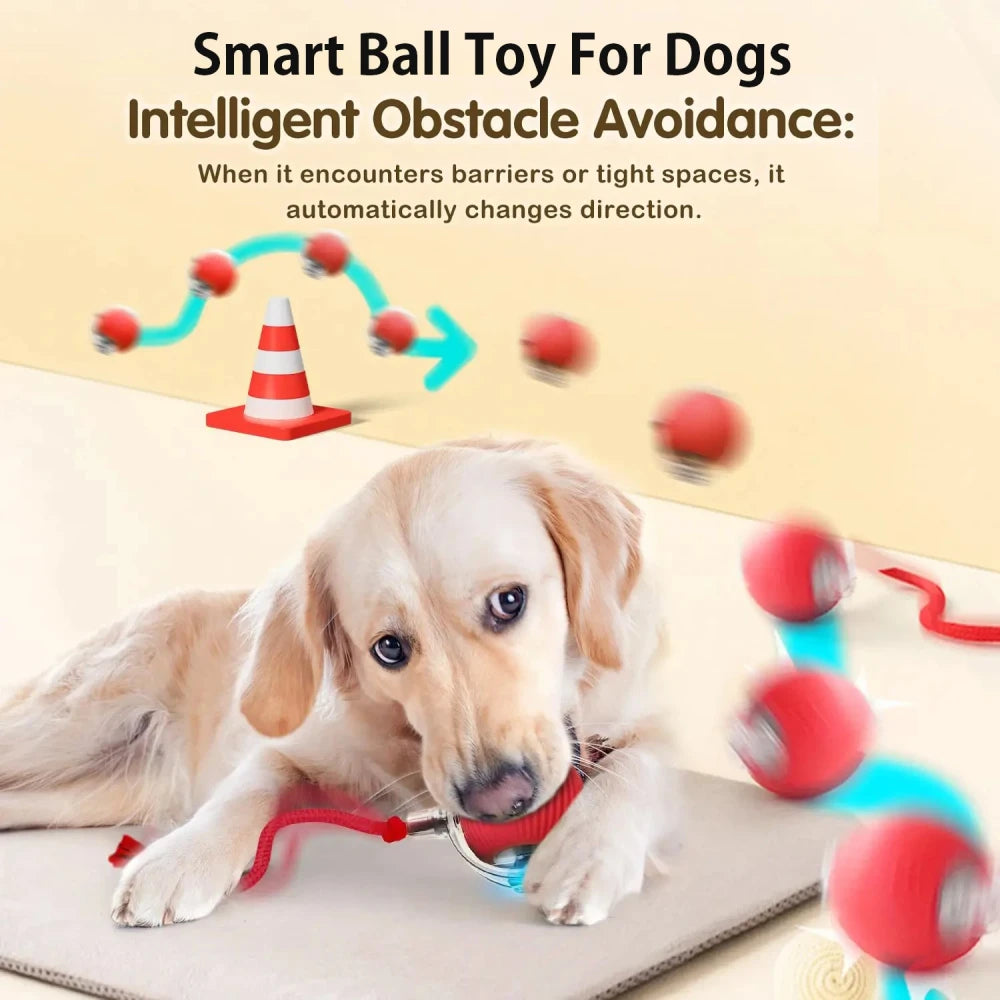 Interactive Automatic Rolling Dog Ball for Dogs & Puppies
