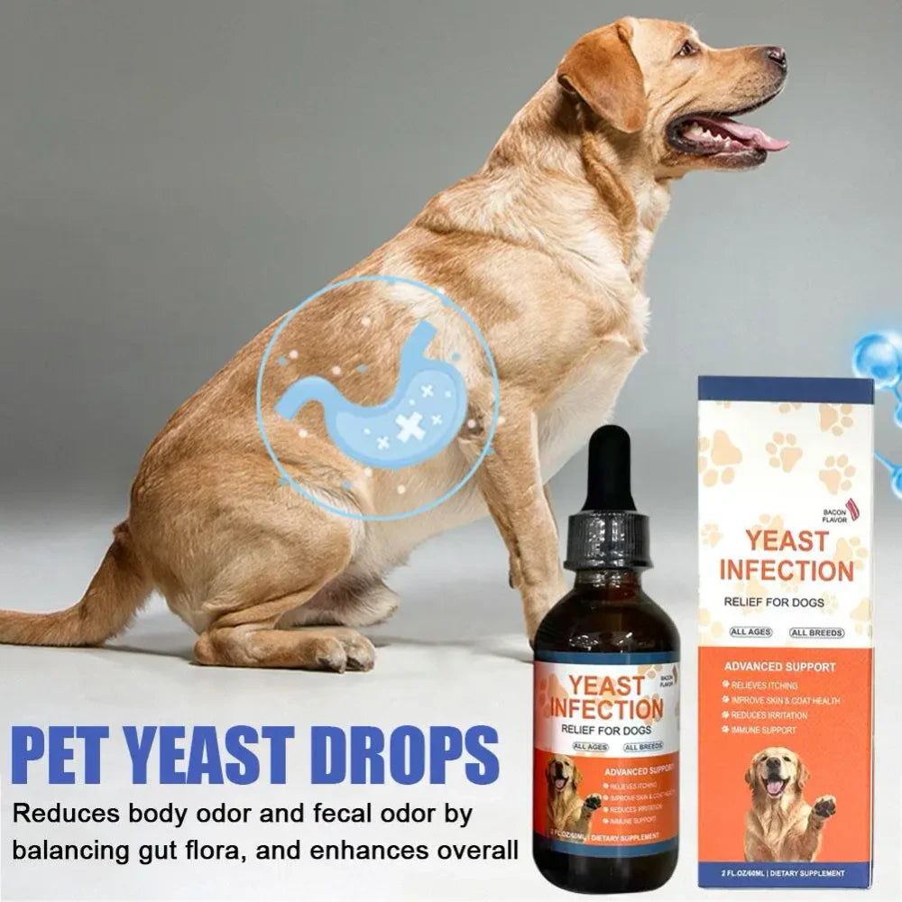 Pet Yeast Support Drops | Gut, Skin & Immune Health for Dogs & Cats